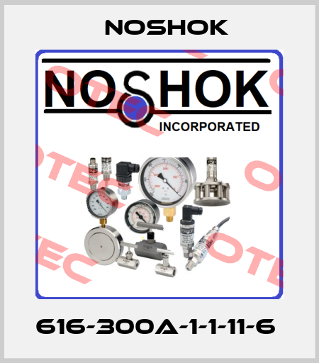 616-300A-1-1-11-6  Noshok