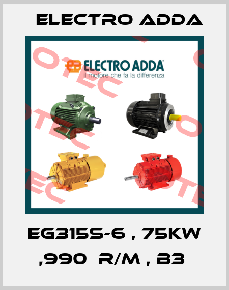 EG315S-6 , 75KW ,990  R/M , B3  Electro Adda