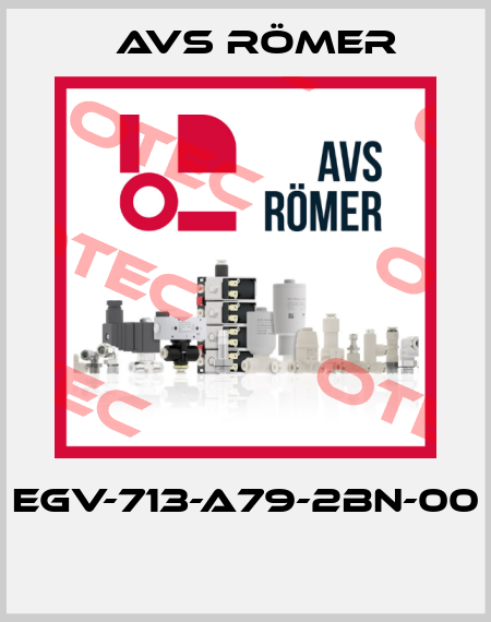 EGV-713-A79-2BN-00  Avs Römer