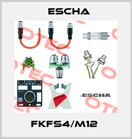FKFS4/M12  Escha