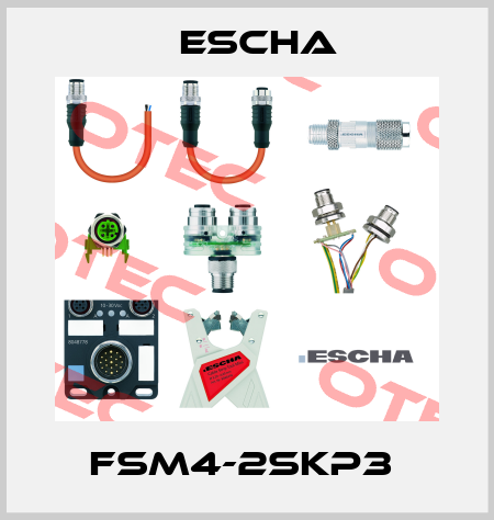 FSM4-2SKP3  Escha