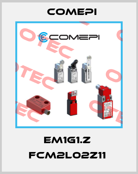 EM1G1.Z  FCM2L02Z11  Comepi