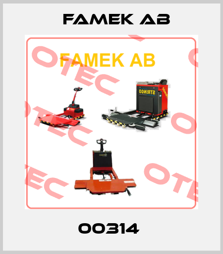 00314  Famek Ab