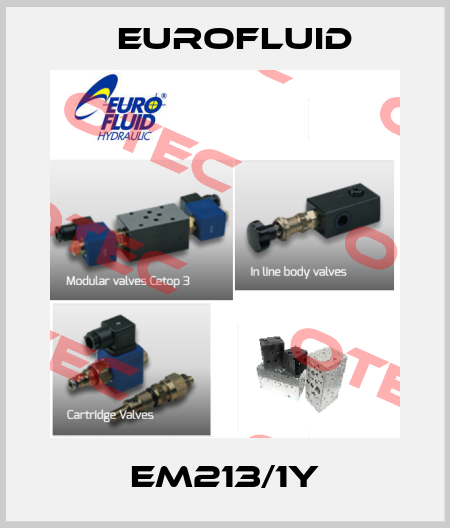 EM213/1Y Eurofluid
