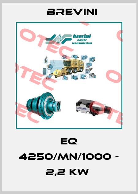 EQ 4250/MN/1000 - 2,2 KW  Brevini