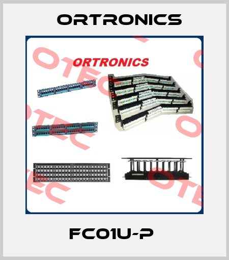 FC01U-P  Ortronics