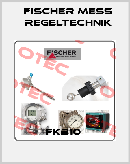 FKB10  Fischer Mess Regeltechnik