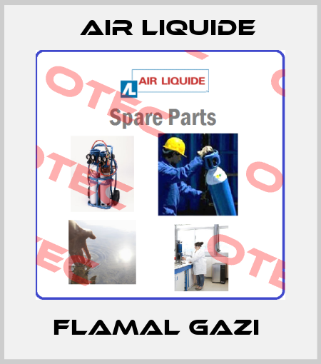 FLAMAL GAZI  Air Liquide