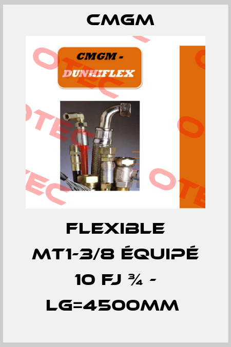 Flexible MT1-3/8 équipé 10 FJ ¾ - LG=4500mm  Cmgm
