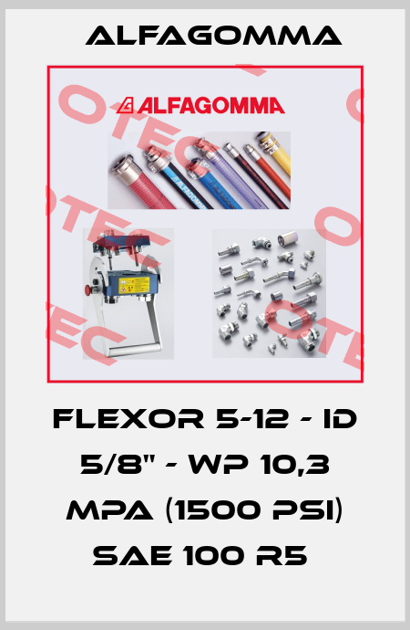 FLEXOR 5-12 - ID 5/8" - WP 10,3 MPA (1500 PSI) SAE 100 R5  Alfagomma