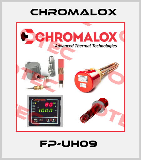 FP-UH09  Chromalox