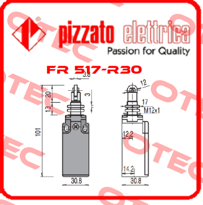 FR 517-R30 Pizzato Elettrica