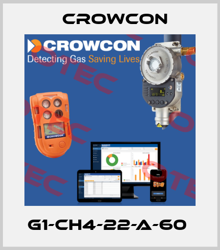 G1-CH4-22-A-60  Crowcon