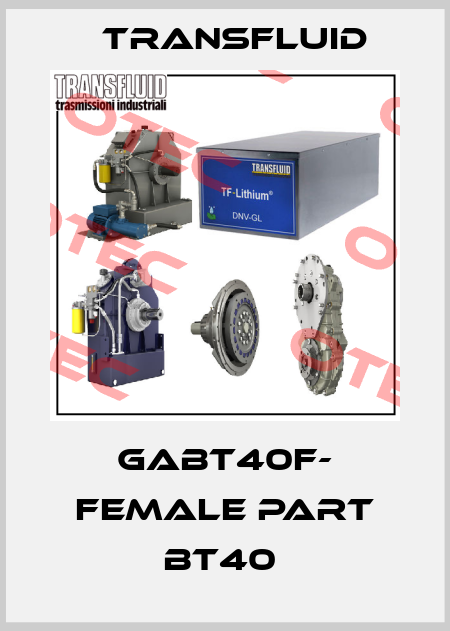 GABT40F- FEMALE PART BT40  Transfluid