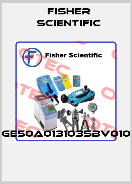 GE50A013103SBV010  Fisher Scientific