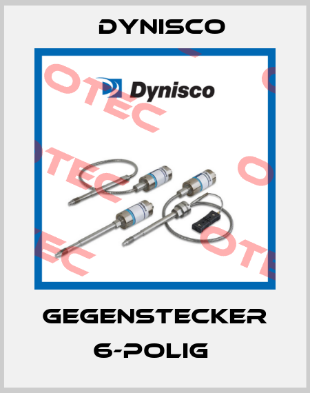 GEGENSTECKER 6-POLIG  Dynisco
