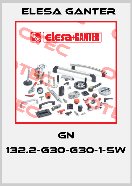 GN 132.2-G30-G30-1-SW  Elesa Ganter