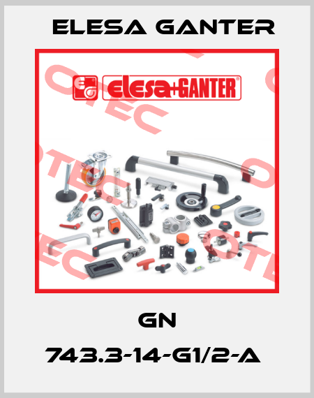 GN 743.3-14-G1/2-A  Elesa Ganter