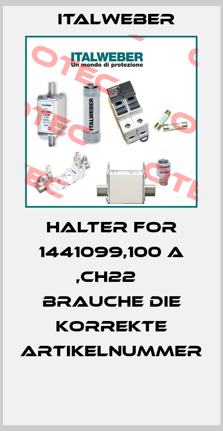 HALTER FOR 1441099,100 A ,CH22   BRAUCHE DIE KORREKTE ARTIKELNUMMER  Italweber