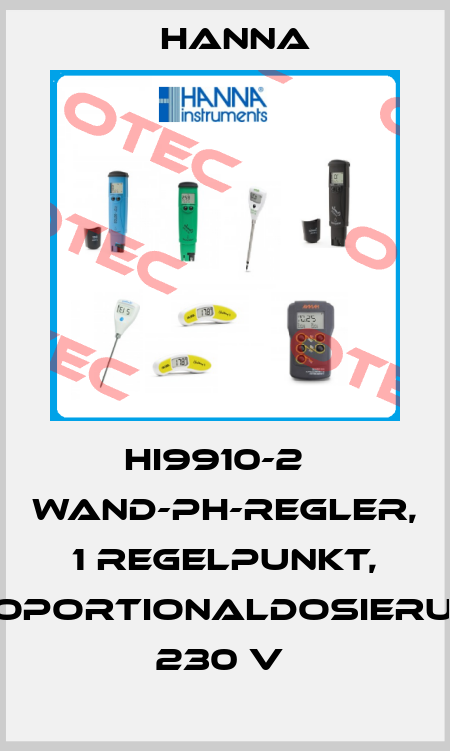 HI9910-2   WAND-PH-REGLER, 1 REGELPUNKT, PROPORTIONALDOSIERUNG, 230 V  Hanna