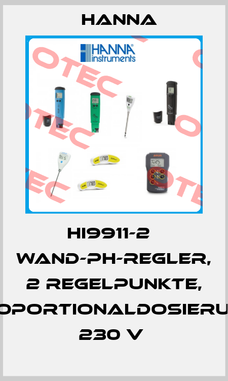HI9911-2   WAND-PH-REGLER, 2 REGELPUNKTE, PROPORTIONALDOSIERUNG, 230 V  Hanna