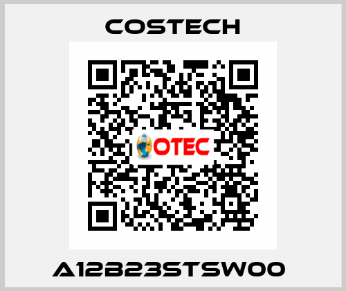 A12B23STSW00  Costech