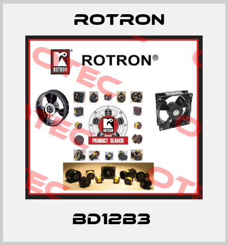 BD12B3  Rotron