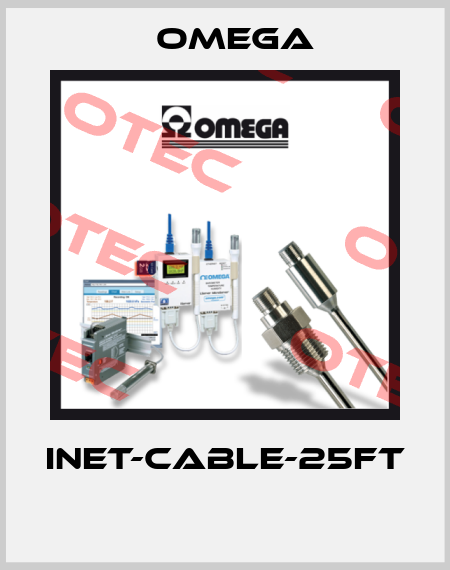 INET-CABLE-25FT  Omega