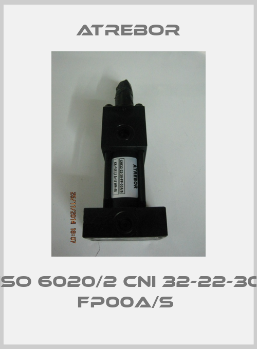 ISO 6020/2 CNI 32-22-30 FP00A/S -big