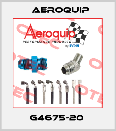 G4675-20  Aeroquip