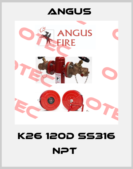 K26 120D SS316 NPT  Angus