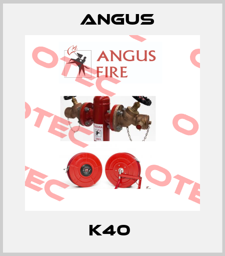 K40  Angus