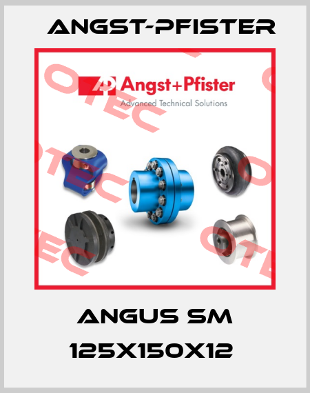 ANGUS SM 125x150x12  Angst-Pfister