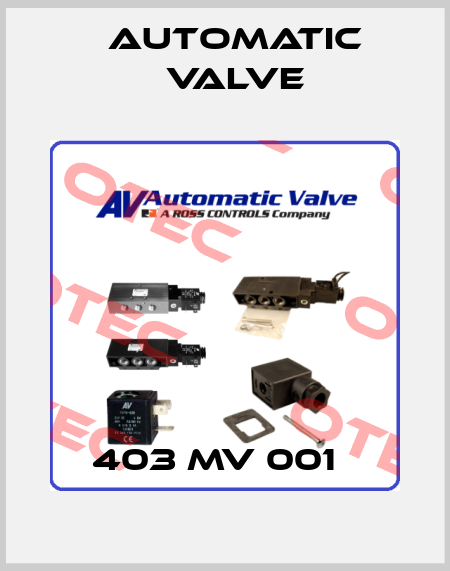 403 MV 001   Automatic Valve