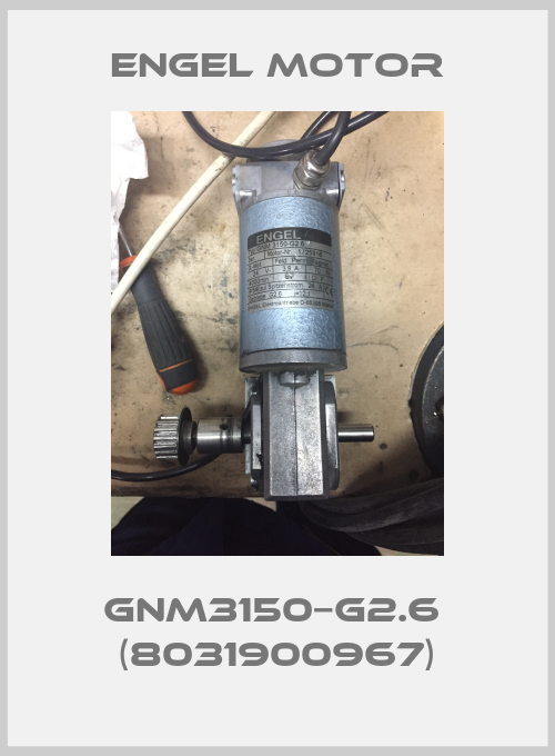GNM3150−G2.6  (8031900967)-big