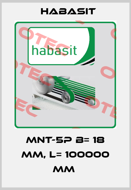 MNT-5P B= 18 mm, L= 100000 mm  Habasit