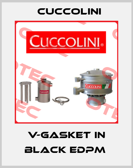 V-Gasket in black EDPM  Cuccolini