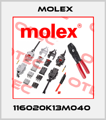 116020K13M040  Molex