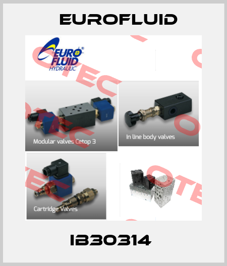 IB30314  Eurofluid