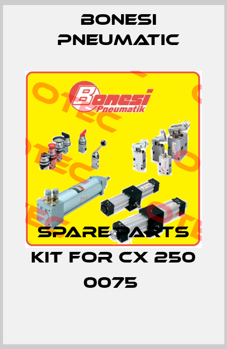 spare parts kit for CX 250 0075  Bonesi Pneumatic