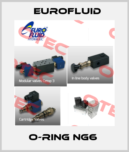 O-Ring NG6  Eurofluid