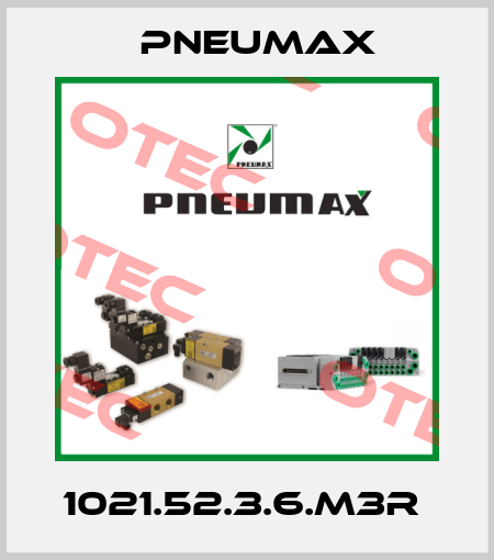1021.52.3.6.M3R  Pneumax