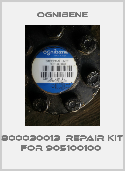 800030013  Repair Kit For 905100100 -big