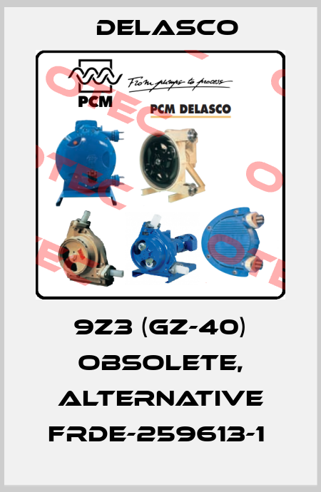 9Z3 (GZ-40) obsolete, alternative FRDE-259613-1  Delasco