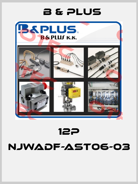 12P NJWADF-AST06-03  B & PLUS