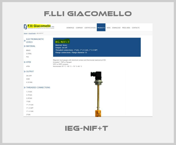IEG-NIF+T -big