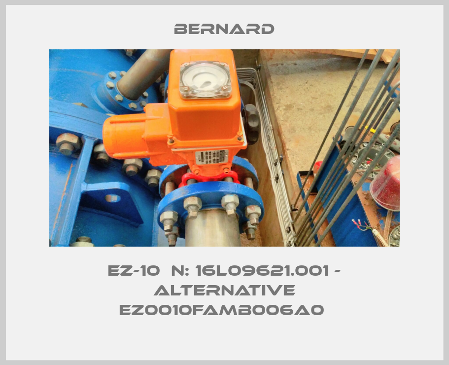 EZ-10  N: 16L09621.001 - alternative EZ0010FAMB006A0 -big