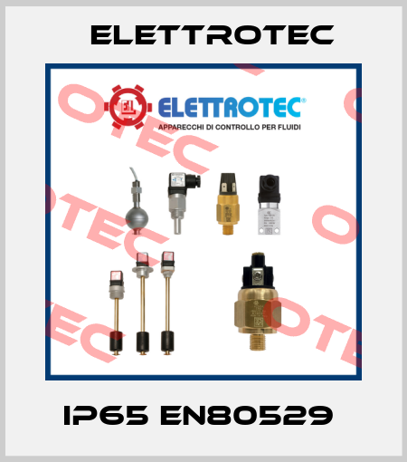 IP65 EN80529  Elettrotec