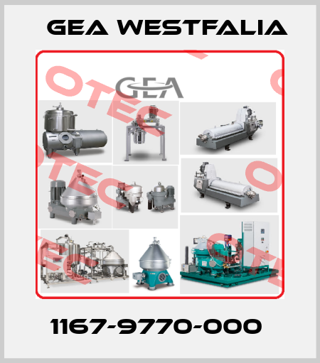1167-9770-000  Gea Westfalia