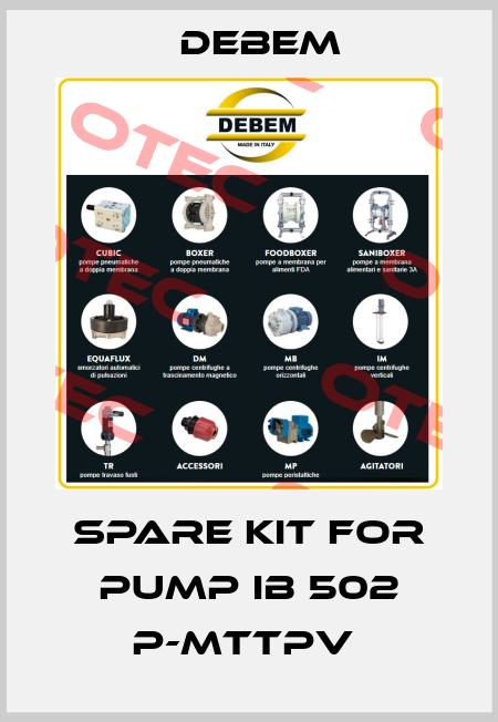 Spare Kit For Pump IB 502 P-MTTPV  Debem